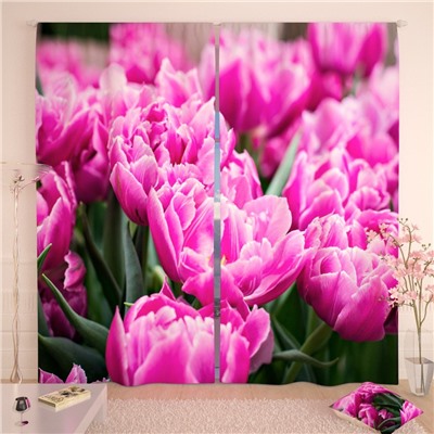 Фотошторы Мягкие розовые тюльпаны