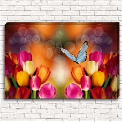 Фотокартина Тюльпаны с бабочкой