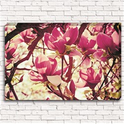 Фотокартина Цветочное розовое дерево