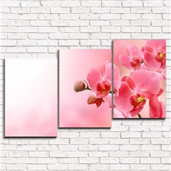 Модульная картина Нежная розовая орхидею 3-1