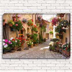 Фотокартина Цветочная улочка в Италии