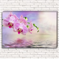 Фотокартина Розовая орхидея у воды