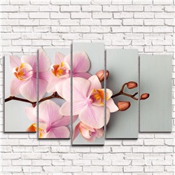 Модульная картина Строгие орхидеи  5-1