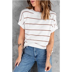 Brown Striped Knit Sweater Short Sleeve Top