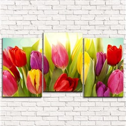 Модульная картина Солнечные тюльпаны 3-1