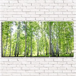 Модульная картина Березовый лес 3-1