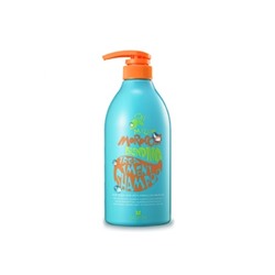 Шампунь-бальзам с аргановым маслом [Mizon] Moroccan Blending Treatment Shampoo