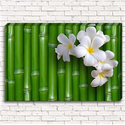 Фотокартина Цветы на бамбуке