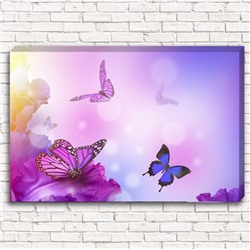 Фотокартина Фиолетовые бабочки