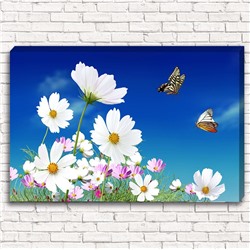 Фотокартина Цветы и бабочки