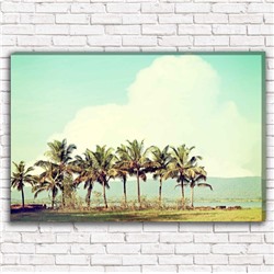 Фотокартина Пальмы на берегу