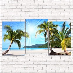 Модульная картина Солнечные пальмы на берегу 3-1