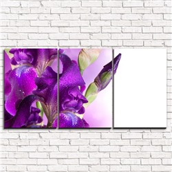 Модульная картина Фиолетовый цветок в росе 3-1
