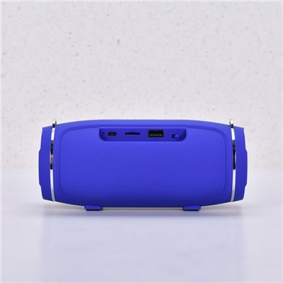 Портативная колонка JBL Charge 4 Mimi+ Blue  (L17см х D7см) арт 1128