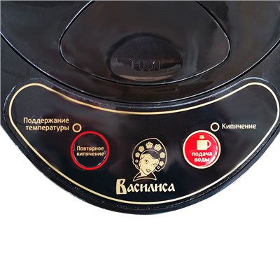 Чайник-термос электрический ВАСИЛИСА ТП5-900 черный