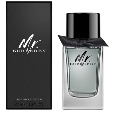 BURBERRY MR. BURBERRY edt MEN 100ml