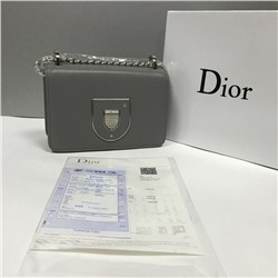 2359_01642 Сумка женская Dior