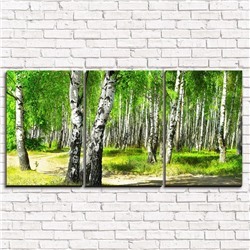 Модульная картина Утренний березовый лес 3-1