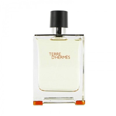 HERMES TERRE DHERMES edt MEN 100ml TESTER