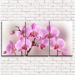 Модульная картина Арка из орхидей 3-1