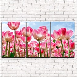 Модульная картина Высокие тюльпаны 3-1