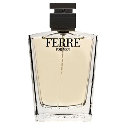 Ferre Туалетная вода Ferre 100 ml (м)