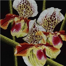 АРМ FZ060 "Красно-белая орхидея", 40х40 см