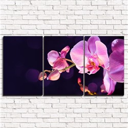 Модульная картина Орхидея в сумерках 3-1