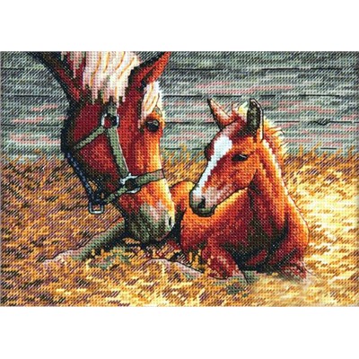АРМ CF090 "Лошадь и жеребенок", 20х30 см