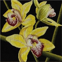 АРМ FZ061 "Желтая орхидея", 40х40 см