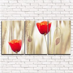 Модульная картина Два тюльпана 3-1