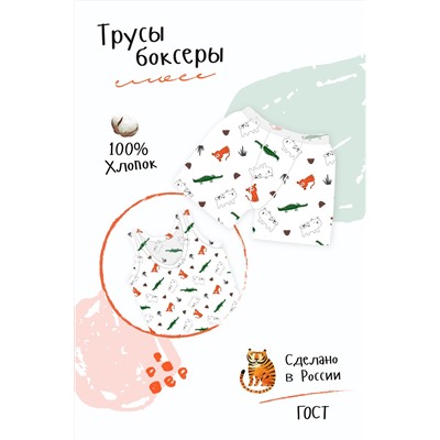 Трусы Боксеры Лимпопо детские белый (ед.)/30