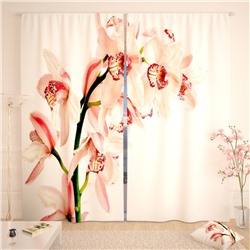 Фотошторы Очаровательная орхидея на белой глади