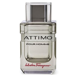 Salvatore Ferragamo Туалетная вода Attimo pour homme 100 ml (м)