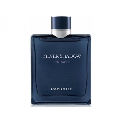 DAVIDOFF SILVER SHADOW PRIVATE edt MEN 100ml TESTER