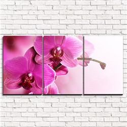 Модульная картина Розовая орхидея 2 3-1