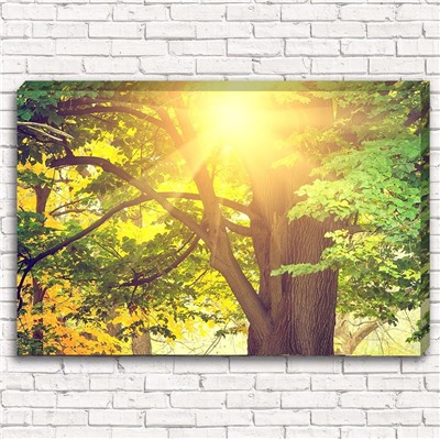 Фотокартина Солнечное дерево