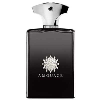 Amouage Парфюмерная вода Memoir Man 100 ml (м)