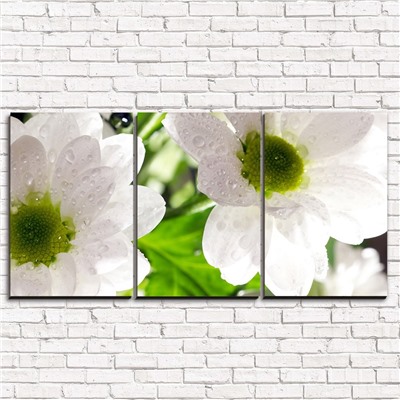 Модульная картина Цветы белые 3-1