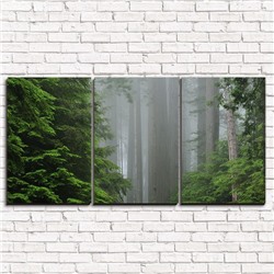 Модульная картина Дремучий лес 3-1