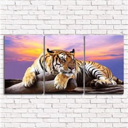Модульная картина Тигр  3-1