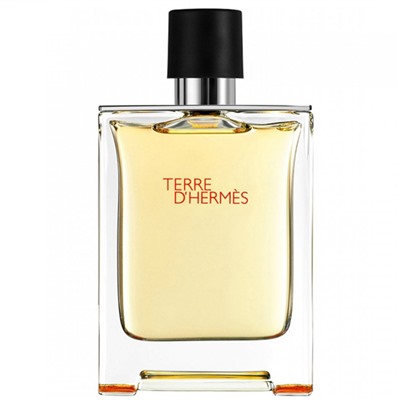 Hermes Туалетная вода Terre D'Hermes for men 100 ml (м)