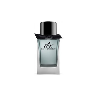 BURBERRY MR. BURBERRY edt MEN 100ml TESTER