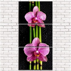 Модульная картина Орхидеи на черном фоне 3-1