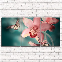 Модульная картина Лилия и бабочки 3-1