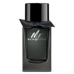 BURBERRY MR. BURBERRY edp MEN 100ml TESTER