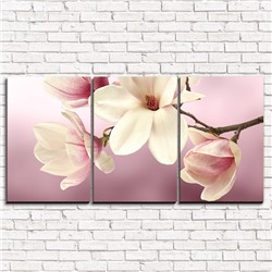 Модульная картина Нежные розовые цветочки 3-1