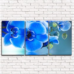 Модульная картина Голубая орхидея 3-1