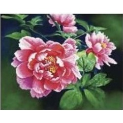 АРМ GZ551 "Три розовых цветка", 40х50 см