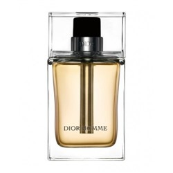 Сhristian Dior HOMME men 100ml edt TESTER